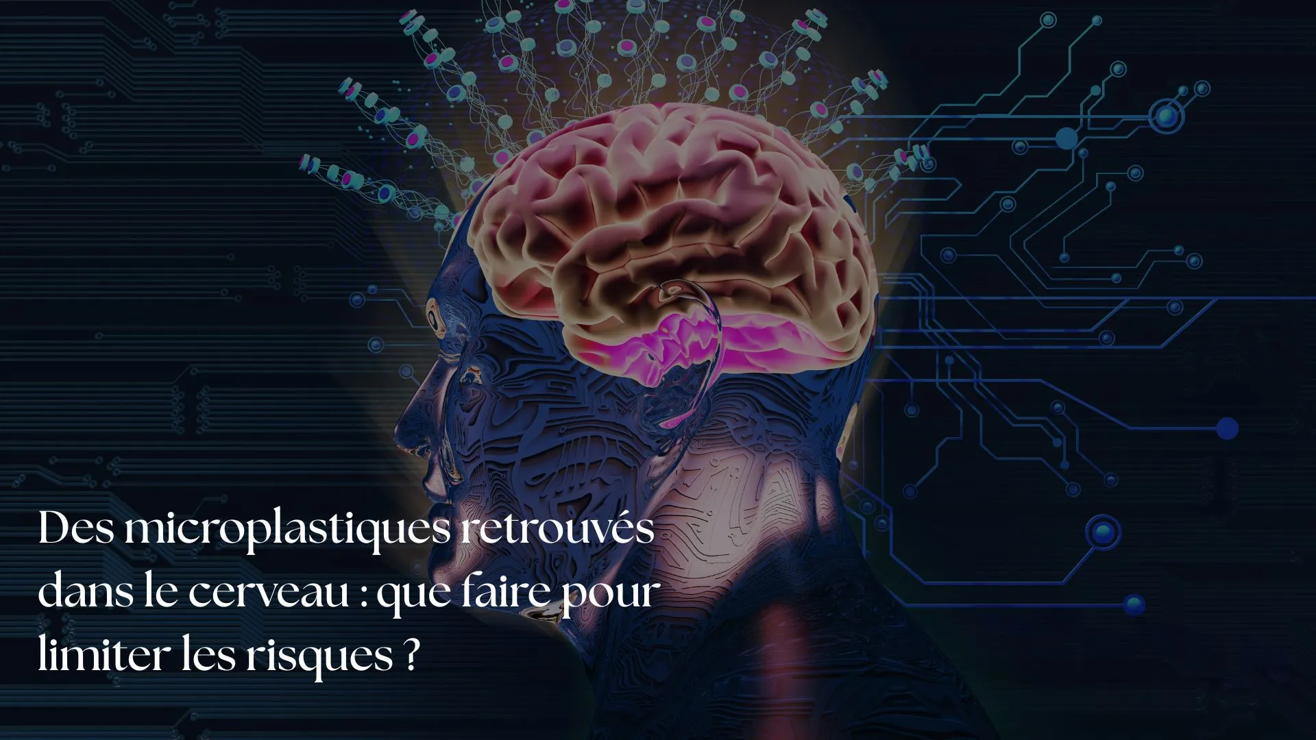 Microplastique cerveau