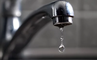 PFAS, pesticides… Notre eau est-elle toxique ?