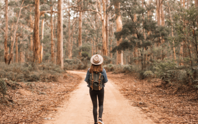 La marche contemplative : se perdre dans la nature pour se retrouver soi-même