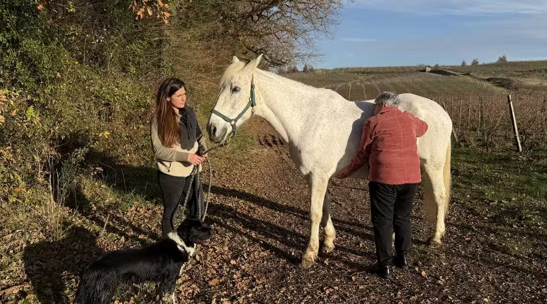 Équithérapie : médiation animale avec Julie Zenouda