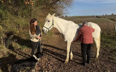Quand le cheval accompagne vers le mieux‑être : médiation animale avec Julie Zenouda