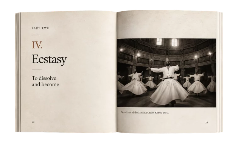 ecstasy